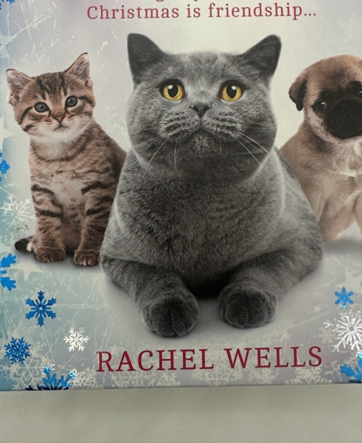 A Friend Called Alfie by Rachel Wells Hardback 9780008483715 Free Shipping - Image 7