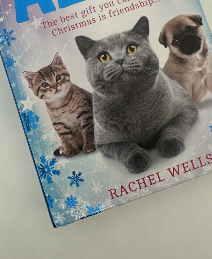 A Friend Called Alfie by Rachel Wells Hardback 9780008483715 Free Shipping - Image 9