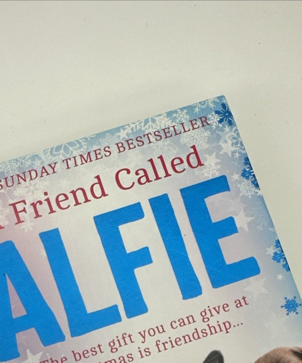 A Friend Called Alfie by Rachel Wells Hardback 9780008483715 Free Shipping - Image 8