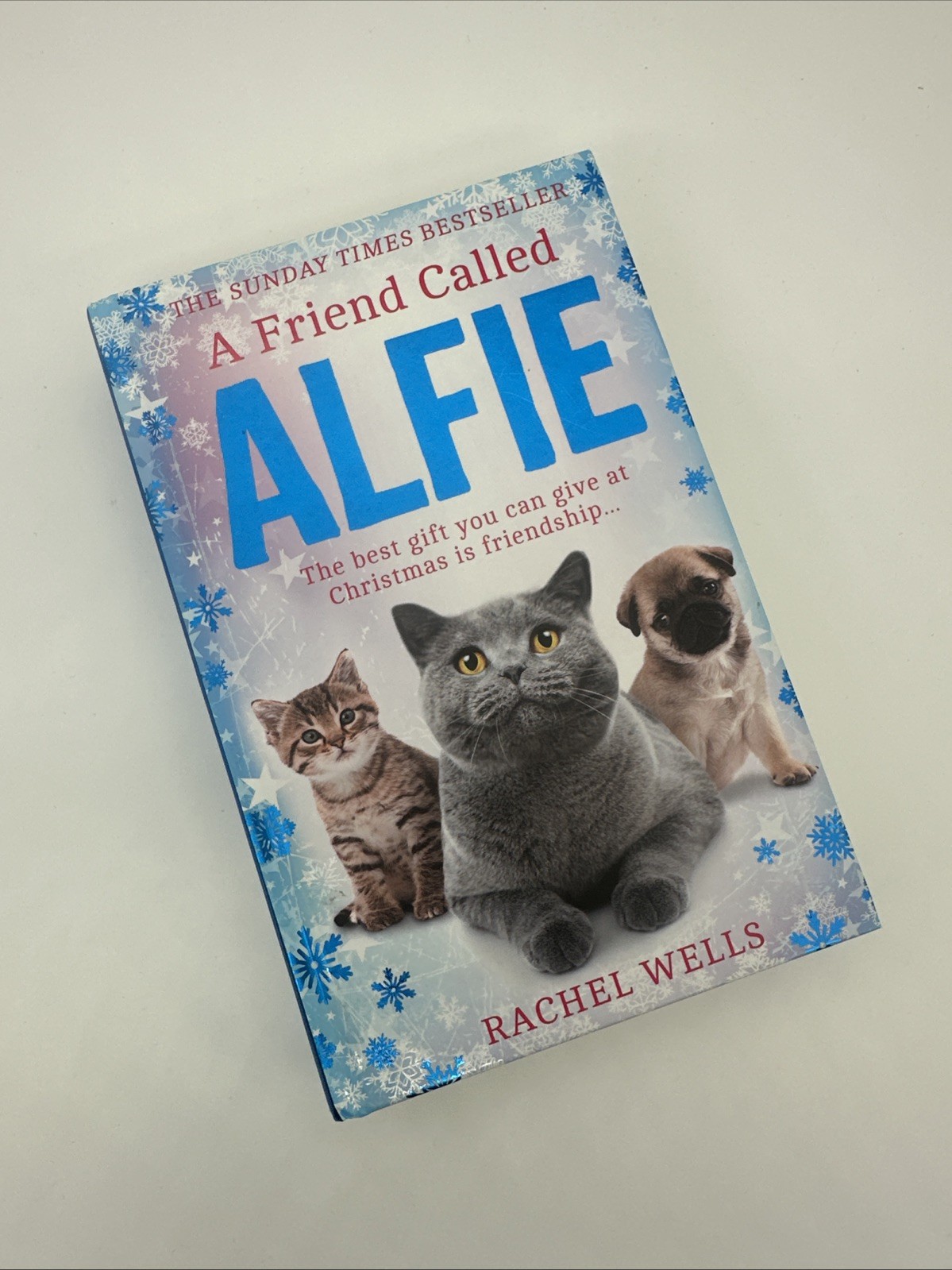A Friend Called Alfie by Rachel Wells Hardback 9780008483715 Free Shipping - Image 2